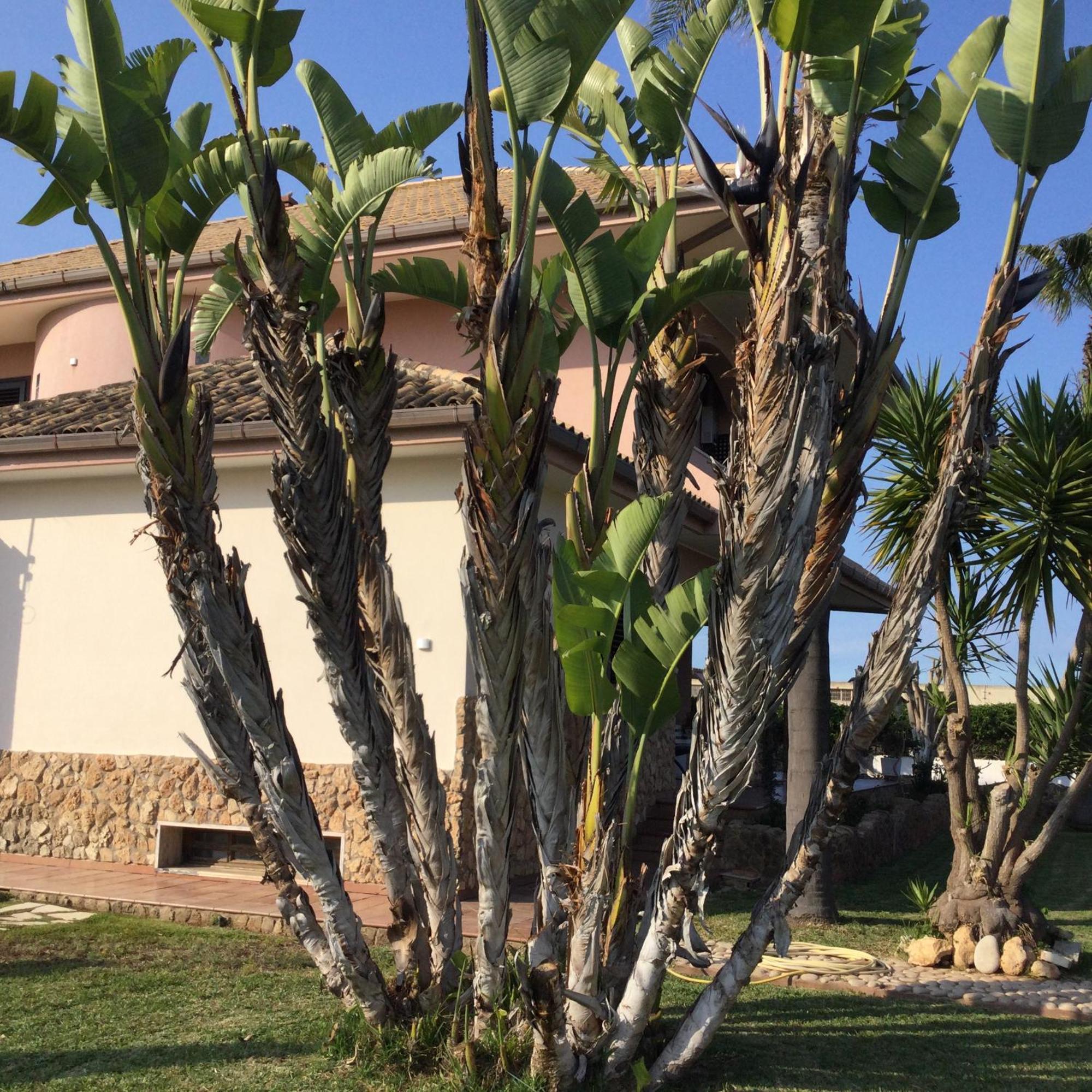 B&B Sicilia Bella Cassibile Esterno foto